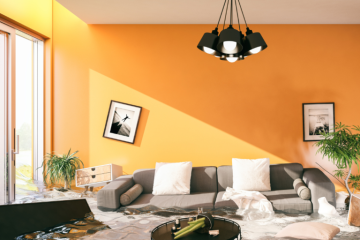 The Best Way to How to Dry Carpet – Expert Help by 7 Star Westside Services The Best Way to How to Dry Carpet – Expert Help by 7 Star Westside Services